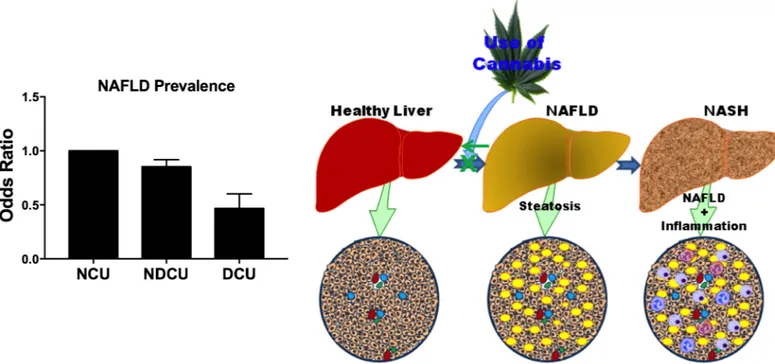 Fig 1. Cannabis use is associated with reduced non-alcoholic fatty liver disease. Dependent and Non-Dependent Cannabis Use (DCU &amp; NDCU)