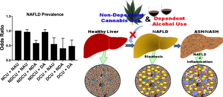 Fig 2. Dependent alcohol use abolishes reduced NAFLD prevalence observed in non-dependent cannabis users