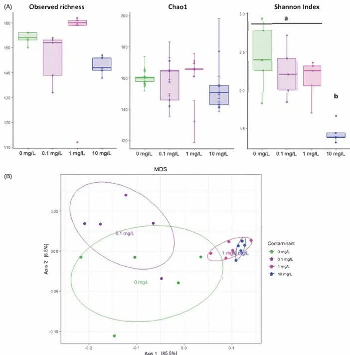 Figure 6.  Effects  of  12 days  of exposure  to BNNT  on  the  structure  of  gut  bacterial  communities  of X
