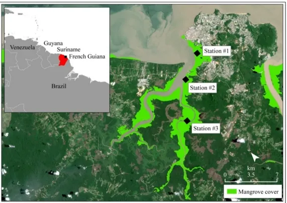 Figure 1. Study area and location of sampled stations. The study area was situated in the vicinity 