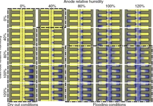 Fig. 1 e Liquid water distributions in operating PEMFC reported in Ref. [ 10 ] when varying RH a and RH c 