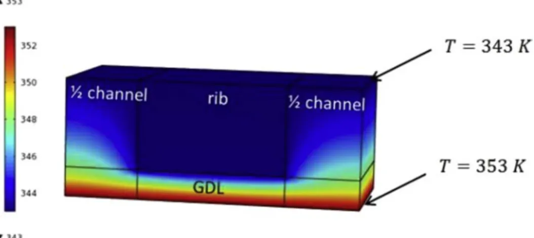 Fig. 6 e Temperature distribution in the BP and the GDL for a temperature variation of 10  C.