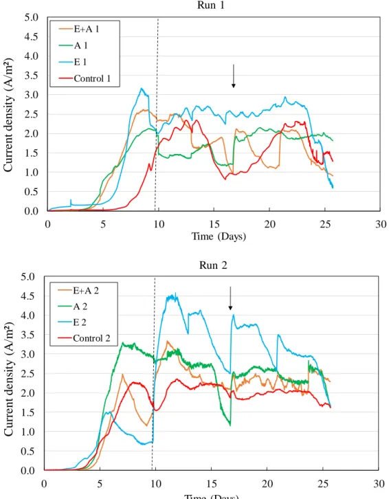 Figure S1. Chronoamperometries for dWW-fed graphite bioanodes (duplicates), related to Table 5