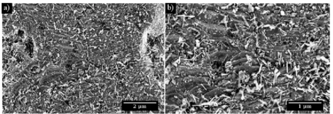 Figure 11.  SEM images of oxides formed on the inner surface of steam generator tube made of alloy 690 corroded during transients test simulating restart of reactor until  325 ° C (image b obtained at higher magnification than image a) 