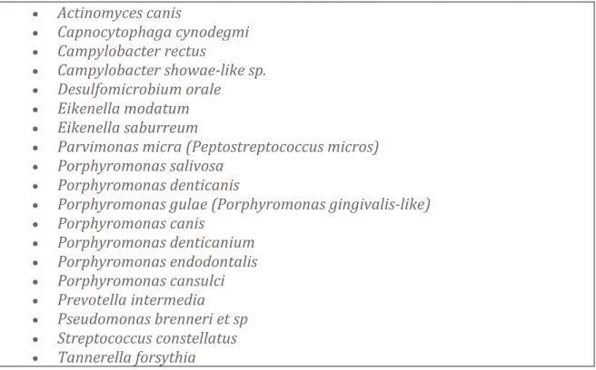 Figure 13 : Liste des principales bactéries pathogènes rencontrées en sous-gingival lors de 