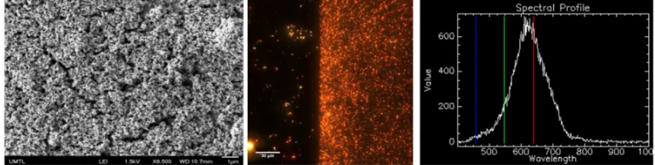 Figure 1. Characterisation of the MIP for RDX on the SPR sensor. Left) SEM image acquired at 8,500X magnification of the MIP on the SPR sensor, with a 
