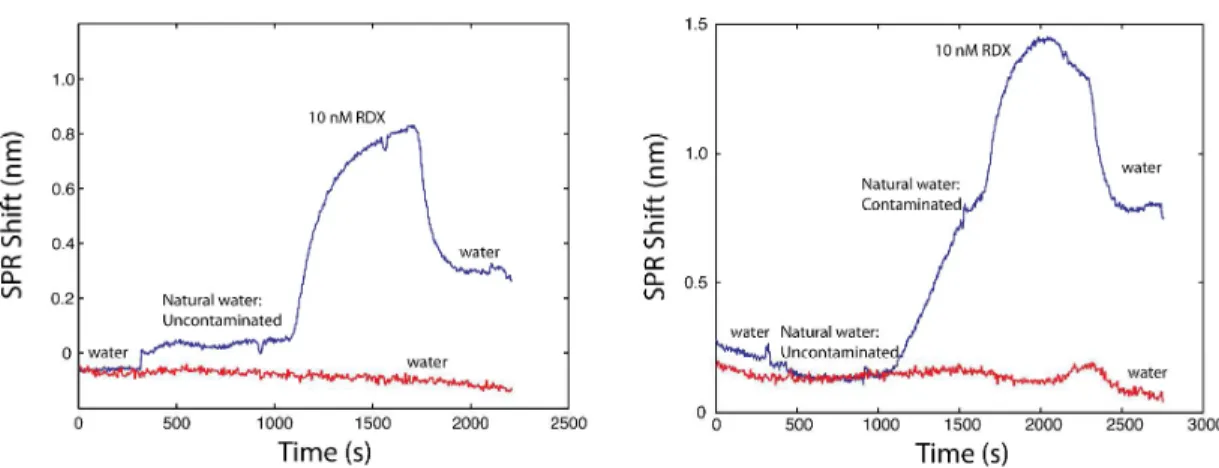 Figure 4. Left) SPR sensorgram for an uncontaminated well and a 10 nM RDX calibration point
