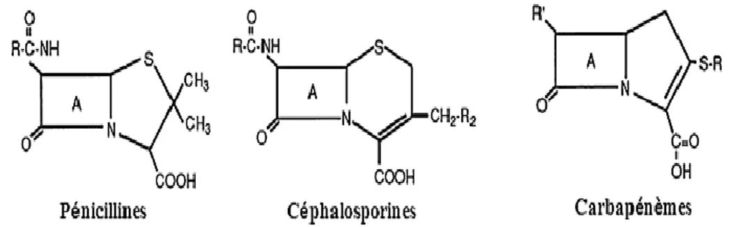 Figure 3. Structures chimiques de principales classes de ß-lactamines (18). I.1.1.2.  Les antibiotiques non ß-lactamines 
