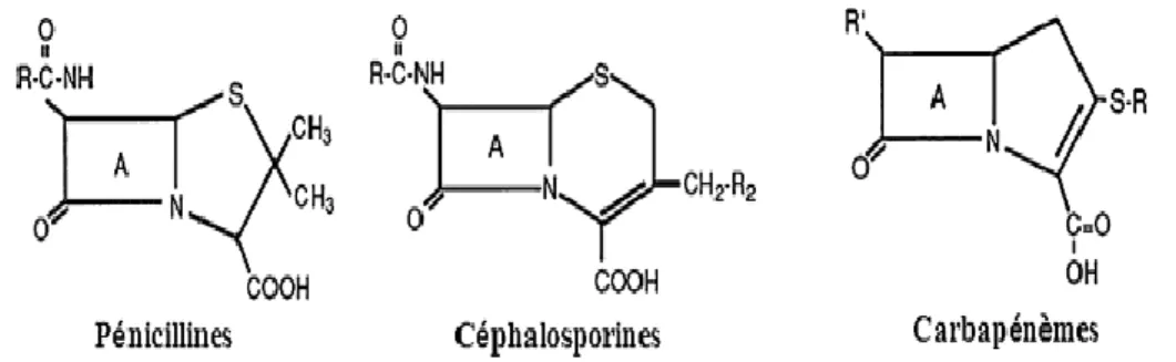 Figure 3. Structures chimiques de principales classes de ß-lactamines (18). I.1.1.2.  Les antibiotiques non ß-lactamines 