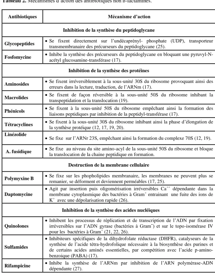 Tableau 2. Mécanismes d’action des antibiotiques non ß-lactamines. 