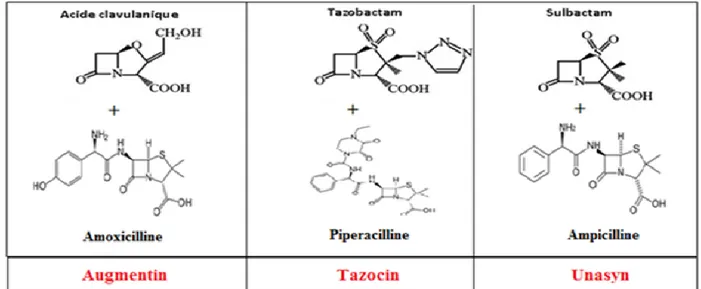 Figure 7. Structure chimique des trois combinaisons ß-lactamines/inhibiteurs de β-lactamases