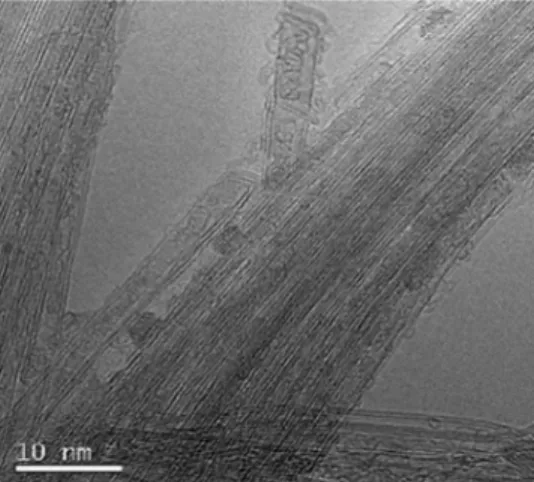 Fig. 1 presents an HRTEM image of the GdCl 3 @DWNTs clearly