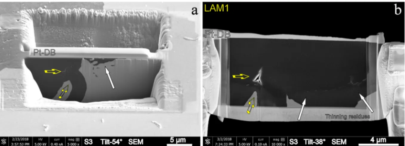 Fig. 2. SEM images (tilted views) of one side of the thin foil observed during the preparation of a lamella out from the spheroid S3