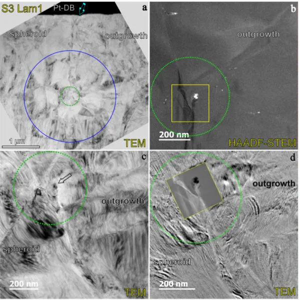 Fig. 8. TEM images at different magniﬁcations (a, c and d) and related HAADF-STEM image (b) showing an inclusion exhibiting a bright contrast