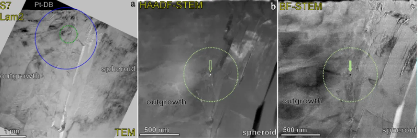 Fig. 9. TEM image (a), HAADF-STEM (b) and BF-STEM (c) images. The large solid circle corresponds to that in Fig