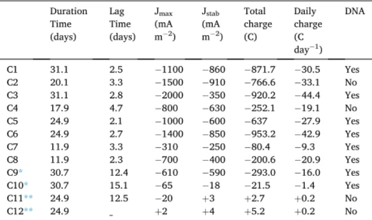 Fig. 1. Evolution of the current density as a function of time under polarization 