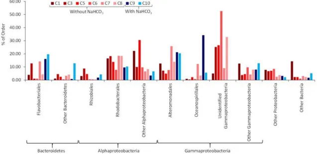 Fig. 3. Most represented bacterial orders in the eight bacterial biofilms. Categories labelled as « other » regrouped less abundant bacterial orders and sequences 