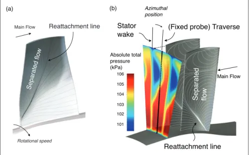 Figure 3. Skin friction lines on concave surfaces of rotor (a) and stator (b) blades (adapted from Dufour et al
