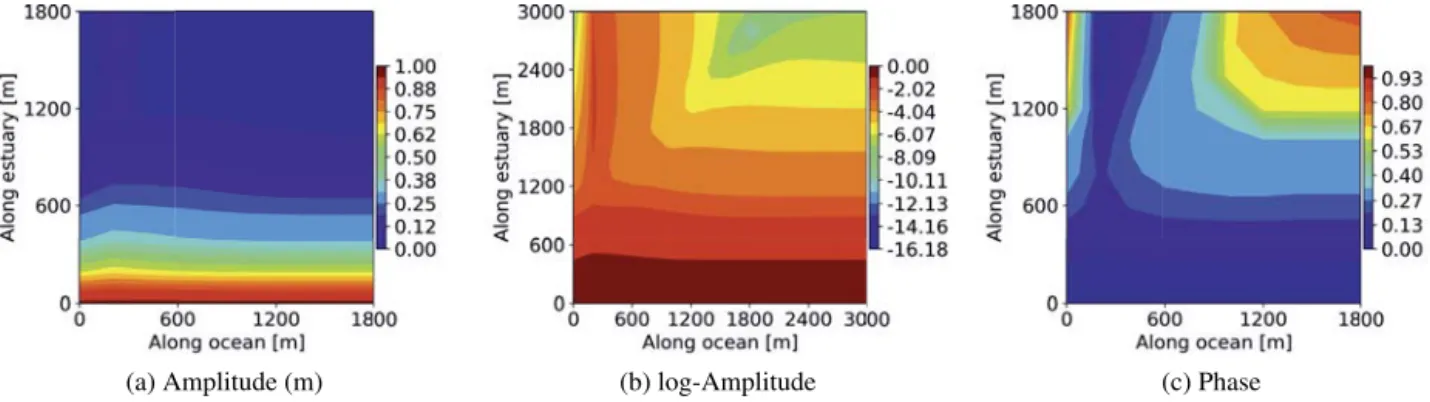 Fig. 4. Amplitude and phase of the water table ﬂuctuation, using the parameters proposed by [ 34 ] in Table 1