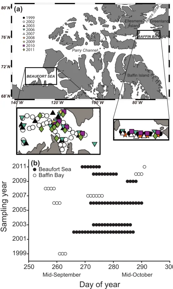 Fig. 1. (a) Location of stations sampled and (b) the sampling periods during fall from 1999 to 2011 in southeastern Beaufort Sea and northern Baffin
