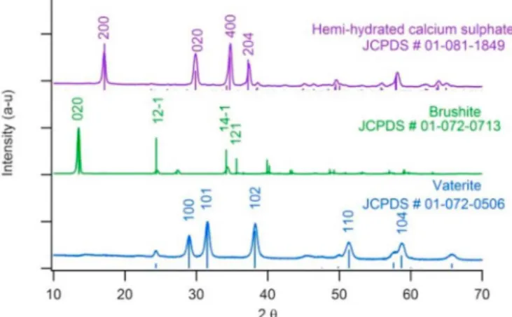 Fig. 1. XRD patterns of the reactive powders.