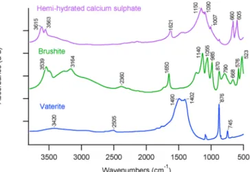 Fig. 3. TGA curves of the reactive powders; zoom on 0 –200  C range.
