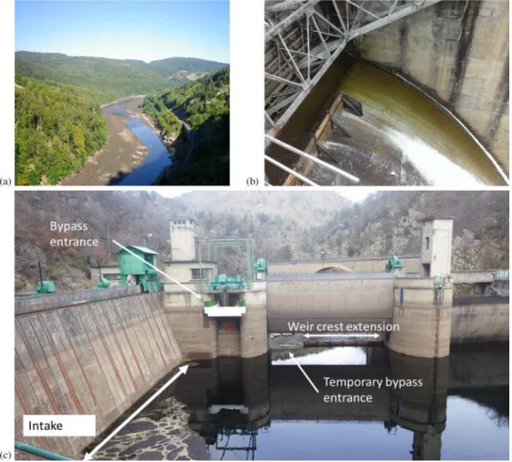 Fig. 3. Picture of upstream limit of the temporary Poutès reservoir (a). Top view of temporary bypass (b)