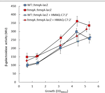 FIGURE 1 | Transcription levels from the hmqABCDEFG promoter in Burkholderia ambifaria HSJ1 wild-type and hmqA- mutant