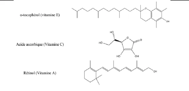 Figure 12: Vitamines antioxydantes (Buettner, 1993) 
