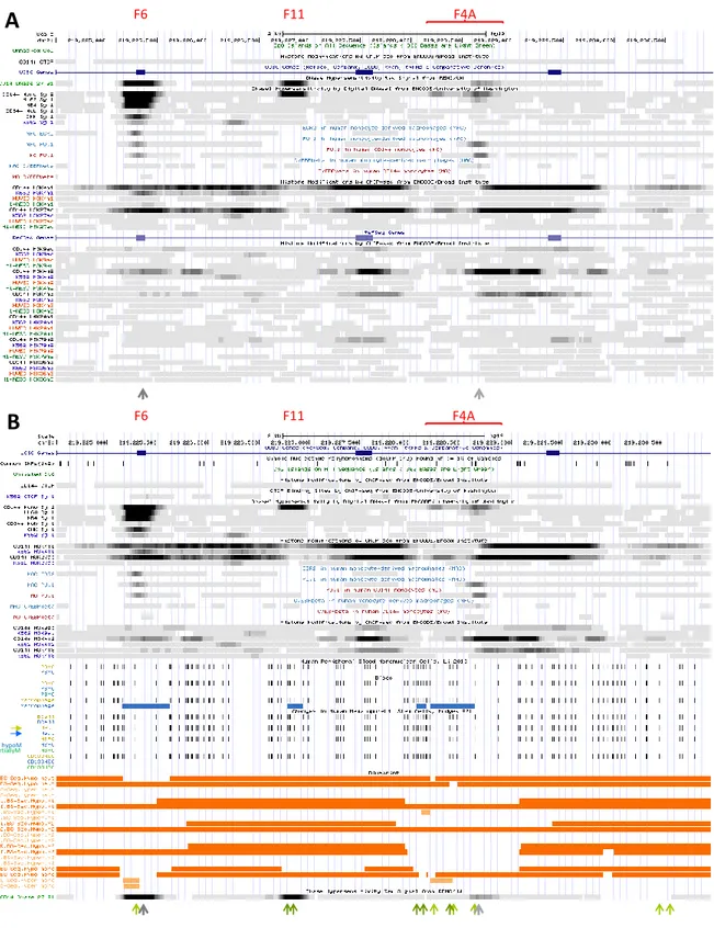 Figure 4. Epigenetic modifications at NRAMP1 locus region i, encompassing Dnase1 footprints F6, F11 and F4A (described in text Sections 2.3.1.1 , 2.3.1.2 and 2.3.2.1 , respectively)