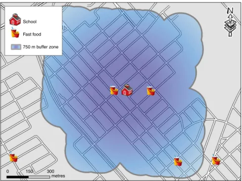 Fig. 1 (colour online) Example of a 750 m street network distance buffer around a school