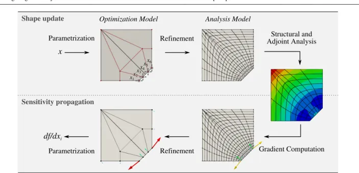Fig. 1 Computation steps during the sensitivity analysis: the design variables act on the optimization model