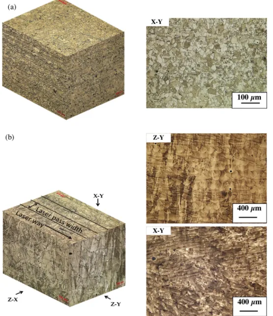 Fig. 2. Cross-sections of Inconel 625 after chemical etching: a) conventional material (b) LBM material.