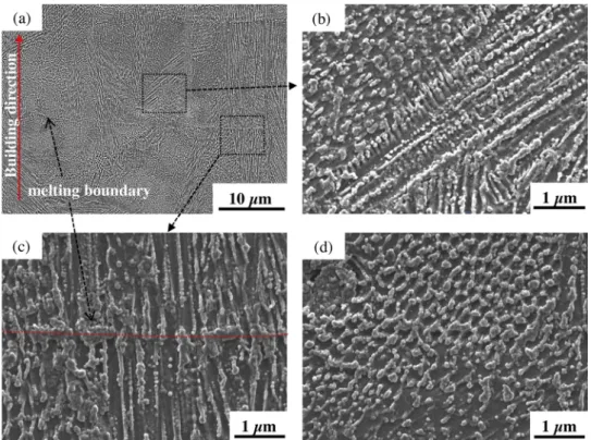Fig. 3. Microstructure characterization (SEM) of the bulk of LBM Inconel 625 in the Z-Y plan after chemical etching: a) at low magniﬁcation, b) at high magniﬁcation showing cellular and dendritic structure; c) at the melting boundary (labelled by the dotte