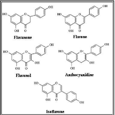 Figure 2. Structures chimiques de quelques flavonoides (Dalle-donne, 2006). 
