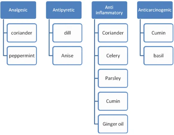 Figure 3. Main medicinal uses for several spices (modified from Peter and Shylaja, 2012) 