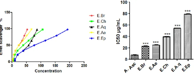 Fig.  7:  Effet  anti-hémolytique  des  extraits  de  C.triflorus.  E.Br:  l’extrait  brut, E.Ep:  l’extrait  d’éther  de 