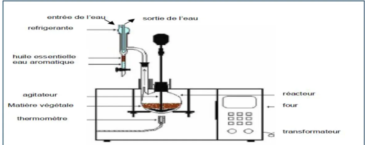 Figure 6: Principe schématisé de l’appareillage d’extraction sous micro-ondes (Lagunez-