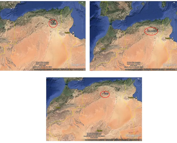 Figure 8 : Images satellites montrent les 3 localités des plantes recueillies (google 