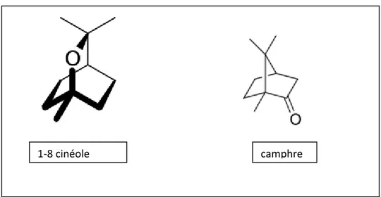 Figure 25 : Structure des composants majoritaires des huiles d’A. santolinoides 0,00% 20,00% 40,00% 60,00% 80,00% 100,00% Monoterpenes oxygenés Monoterpenes hydrocarbonés 1-8 cinéole camphre 