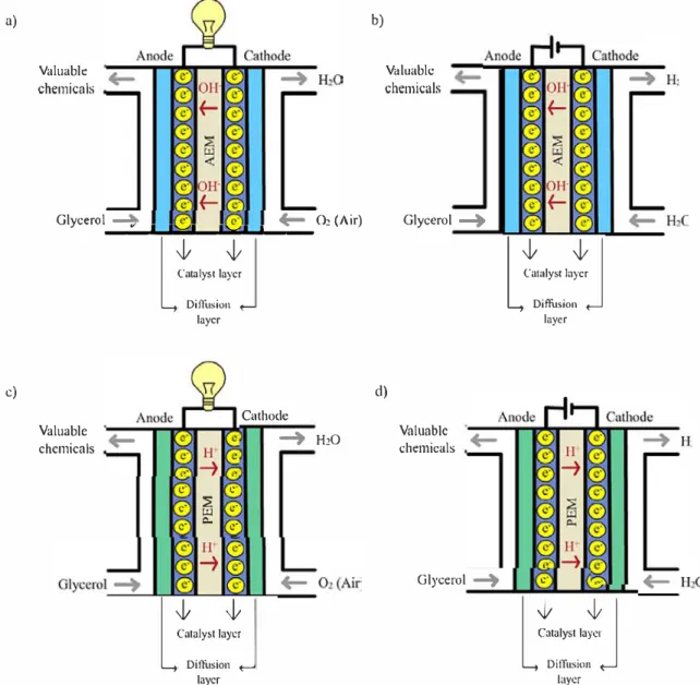 Fig. t. Working principles of a)AEM-fuel cell, b) AEM-electrolysis, c) PEM-fuel cell and d) PEM-electrolysis  ( Marshall and Haverkamp, 2008 ; Simôes, 2012; Pan et al., 2018)
