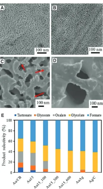 Figure 5: FESEM images of the resulting Ag-based catalysts after  15 min etching and (A) no annealing, and successive annealing at  (B) 100°C, (C) 300°C, and (D) 600°C
