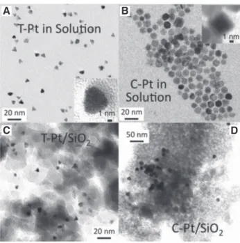 Figure 1: TEM images of (A) tetrahedral and (B) cuboctahedral  platinum nanoparticles, as prepared (top) and after dispersion  on a silica support (bottom)
