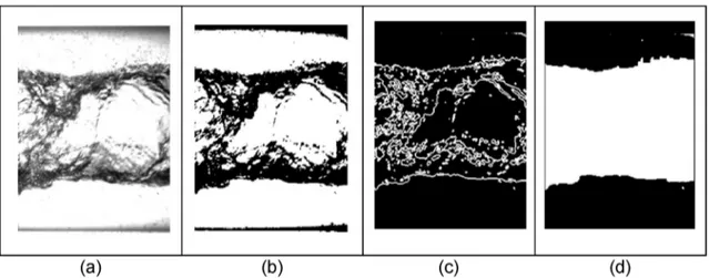 Fig. 4 c shows an image with region boundaries represented as edges.  Numerous interfacial structures apparently detected in the bulk region  of  the  flow  are  not  of  interest
