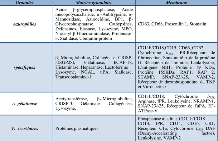 Tableau 2. Constituants essentiels des différentes granules du neutrophile humain. 