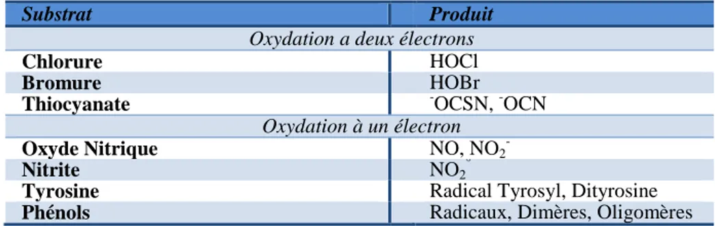 Tableau 3. Substrats et produits de la MPO (Adapté à partir deArnhold et Flemmig, 2010) 