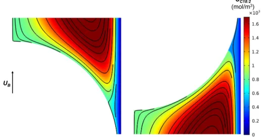Fig. 8. PUFA concentration field and streamlines at the bubble top (left) and rear (right) for z ¼ 0:45z f , Case 1A.