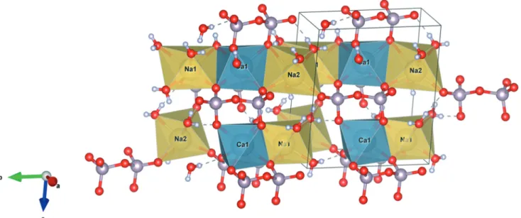 Fig. 6 Representation of calcium and sodium polyhedra of the α canaphite structure (yellow: sodium, blue: calcium, grey: phosphorus, red: oxygen, white: hydrogen).