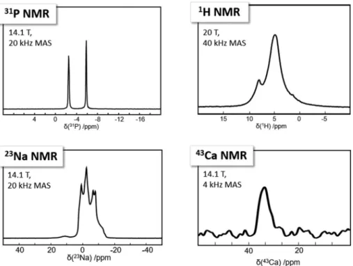 Fig. 8 31 P, 23 Na, and 43 Ca MAS NMR spectra at 14.1 T and 1 H spin echo MAS NMR spectrum at 20.0 T of the as synthesized α canaphite powder