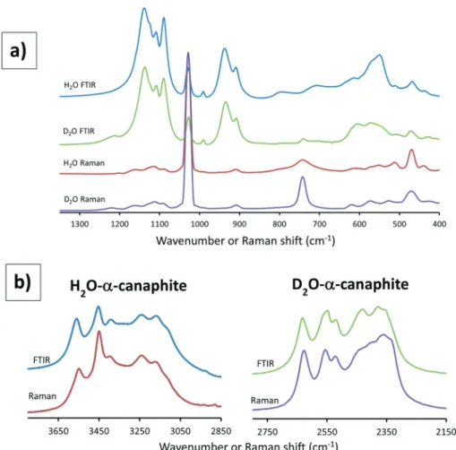Fig. 9 FTIR and Raman spectra of the synthesized α canaphite (deuterated and non deuterated) showing the domains where appear the P 2 O 7 4− stretching and bending lines and the H 2 O and D 2 O bending and libration lines (a) and the O H (or O D) water str